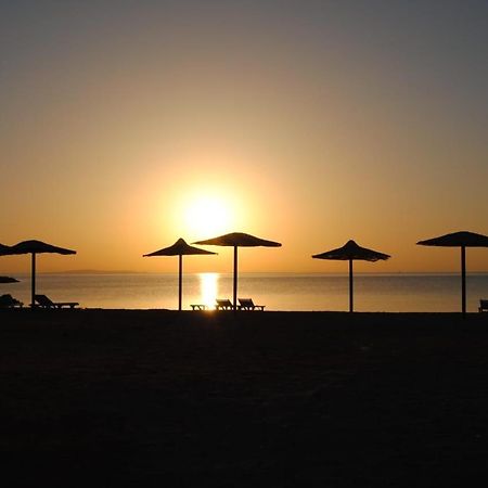 Aparthotel Cecelia Hurghada Exterior foto